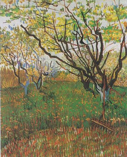 Flowering Orchard, Vincent Van Gogh